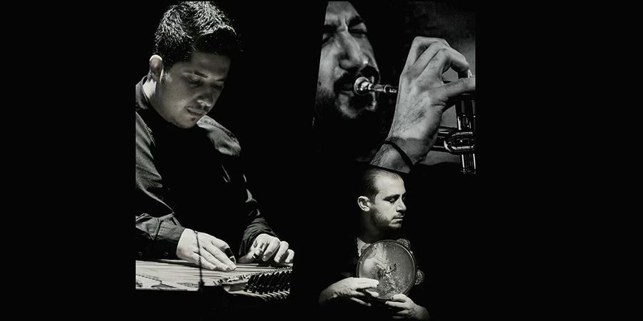 image - Ali Shaker