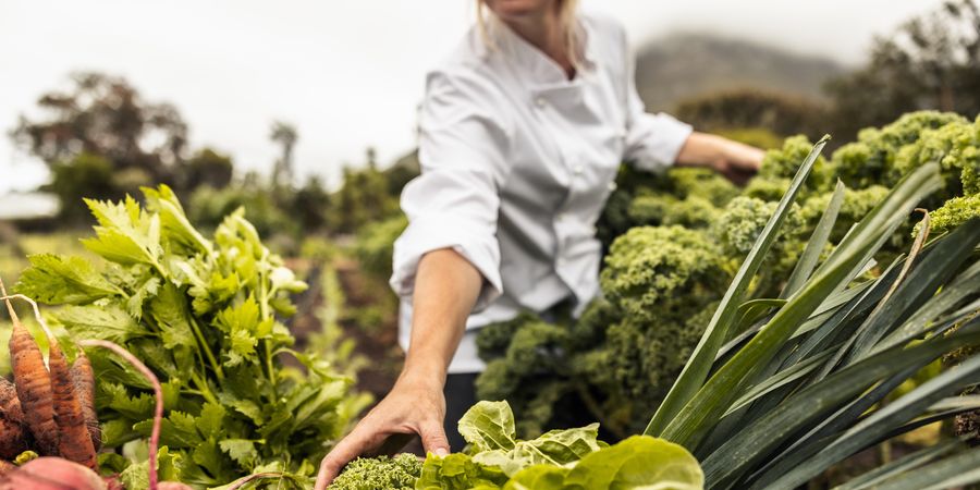 De mooiste plukplekken voor verse groenten en heerlijk fruit