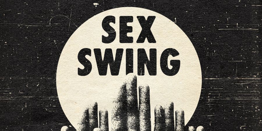 image - Sex Swing