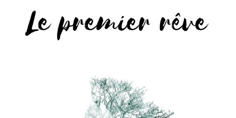 image - Spectacle conté : Le premier rêve