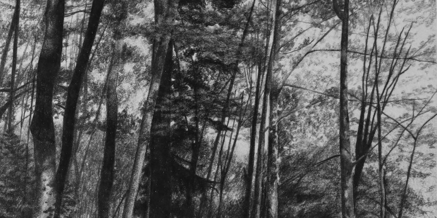 image - Manon Bouvry