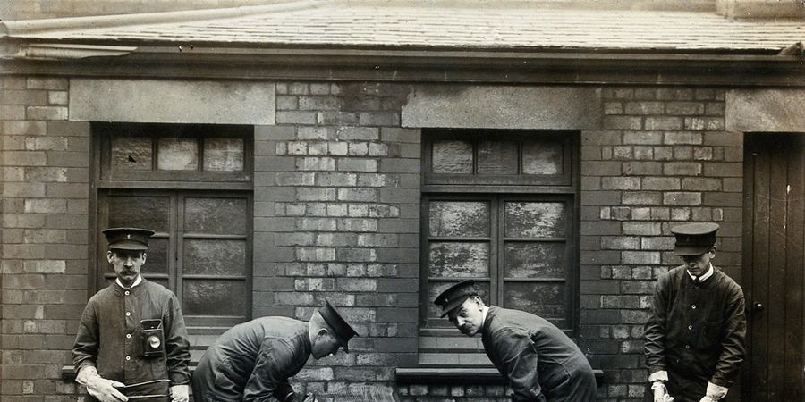 image - VOOR EEN DUURZAAM BEHEER VAN HET RATTENBESTAND IN DE STAD