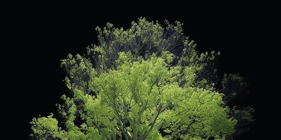image - OVERTURE
