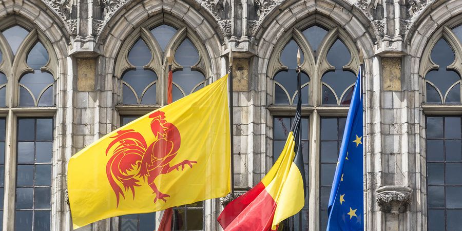 image - Pouvoir politique et institutions diachroniques en Wallonie
