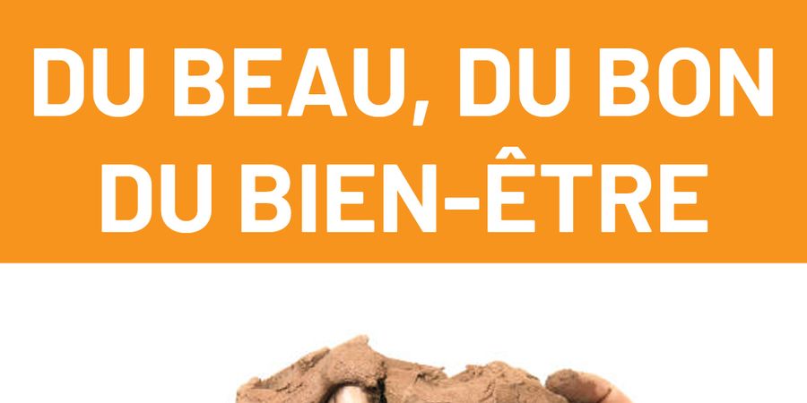 image - Atelier Sculpture en terre