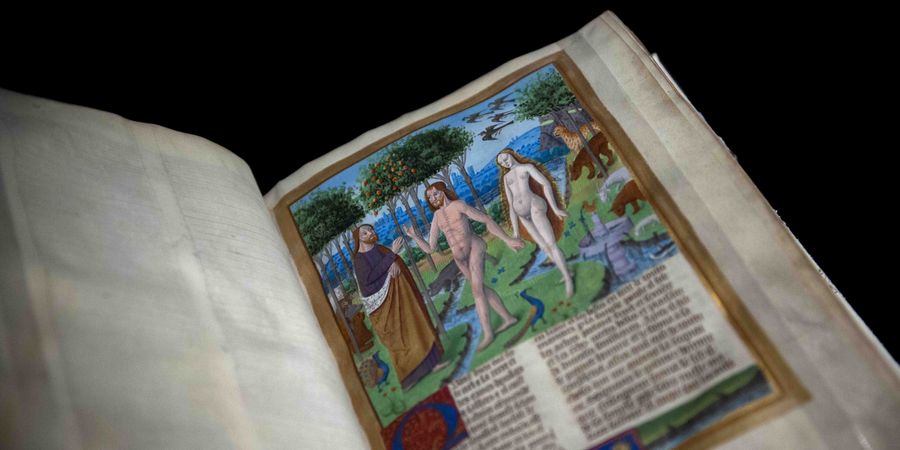 image - Visite guidée : Histoire ancienne jusqu’à César
