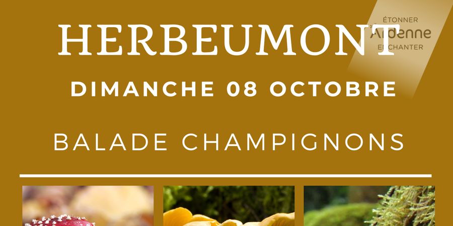 image - Balade Champignons