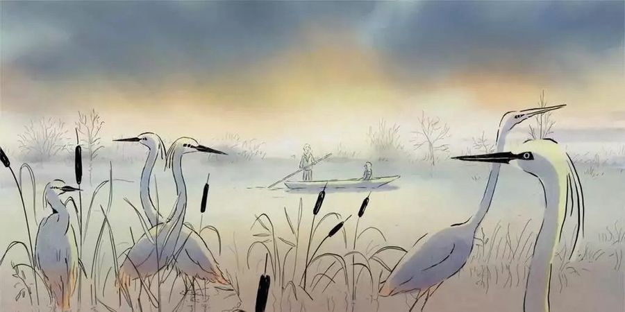 image - Drôles d'oiseaux