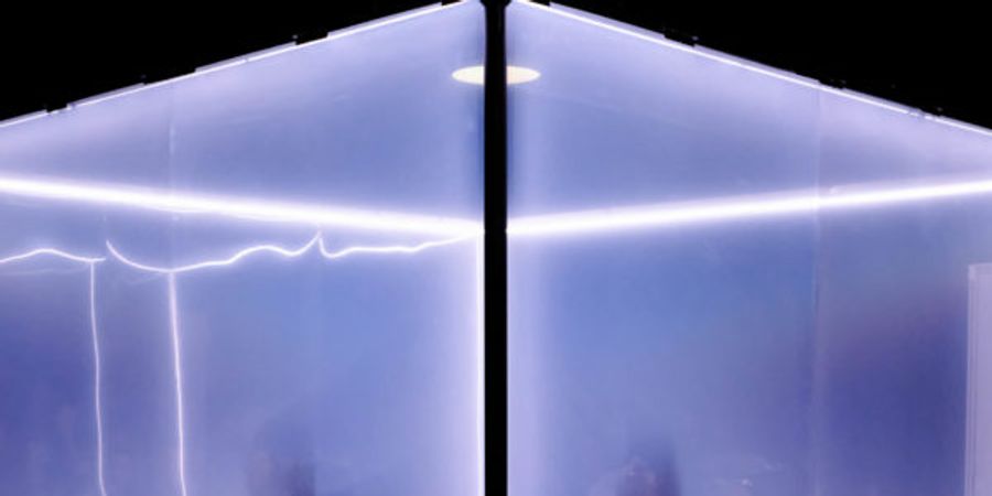 image - Le Chat de Schrödinger – Cie Back Pocket – Les Singuliers pluriels