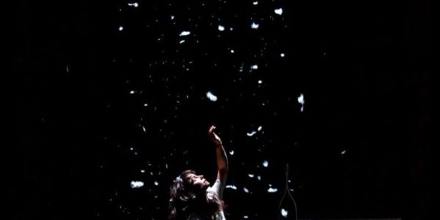 image - M.E.M.M. – Au mauvais endroit au mauvais moment – Alice Barraud & Raphaël de Pressigny (FR)