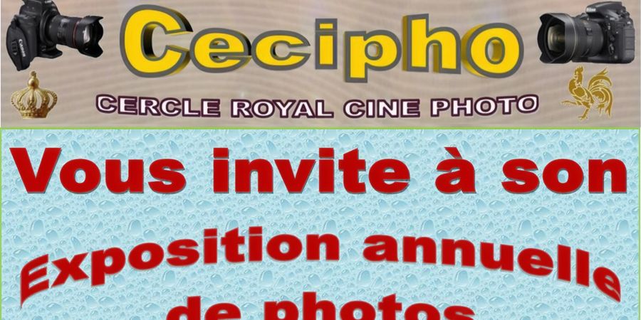 image - Exposition annuelle Cecipho