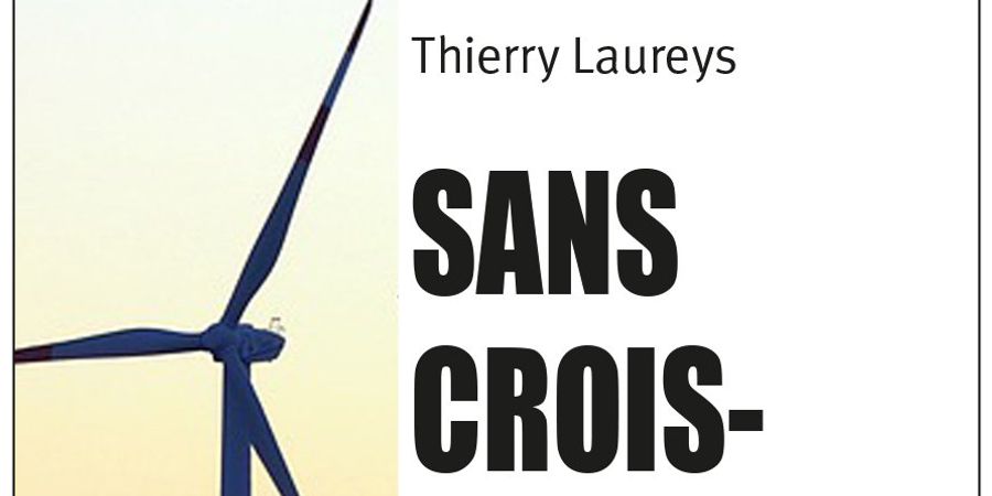 image - Rencontre avec Thierry Laureys, auteur du livre « Sans croissance, c’est possible ! »