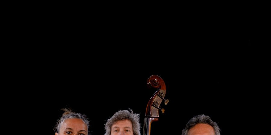 image - Celmaca trio