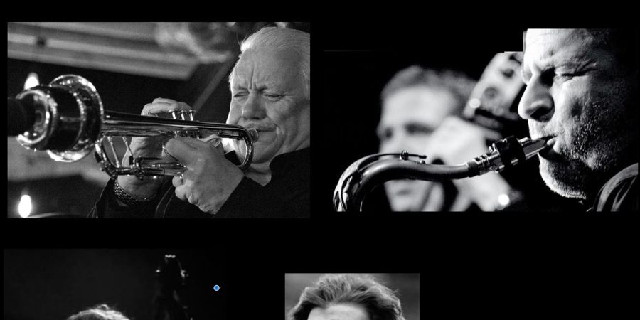 image - Carte blanche to Vincent Mardens