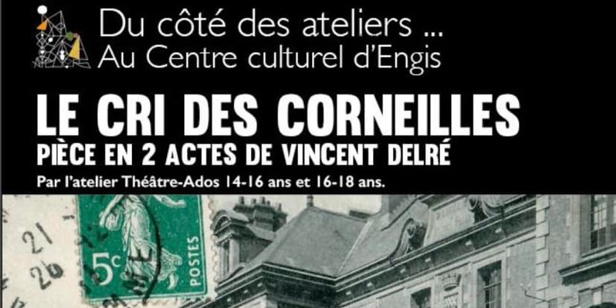 image - Le cri des corneilles