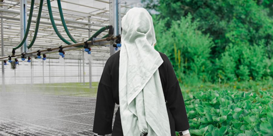image - Consumer
