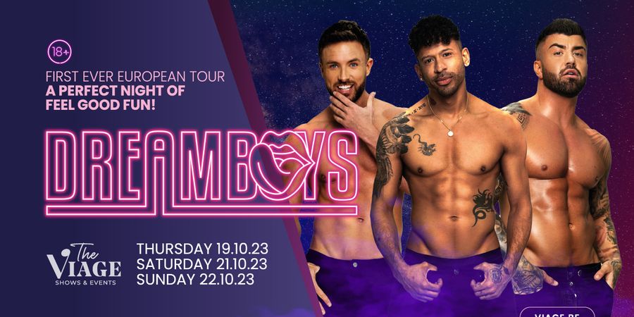 image - Dreamboys // Tournée européenne @ The VIAGE