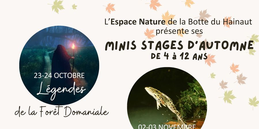 image - Minis stages d'automne