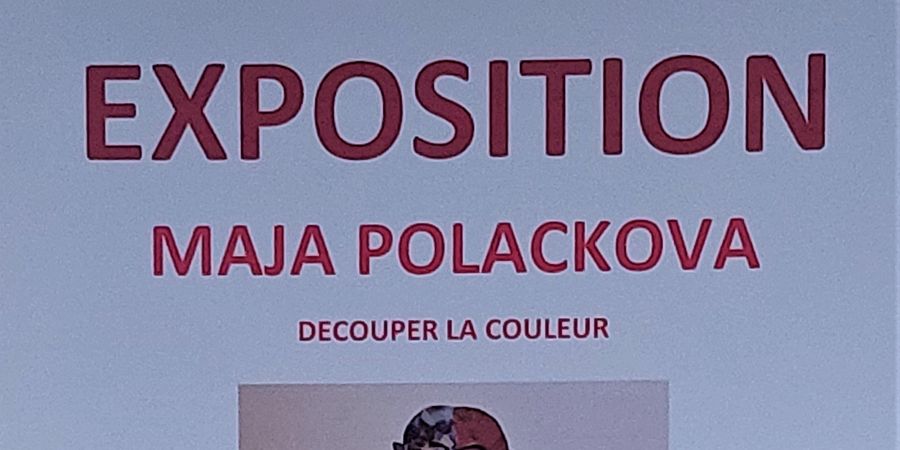 image - Maja Polackova . Découper la couleur