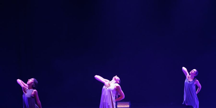 image - Cours de danse contemporaine saison 2023-2024