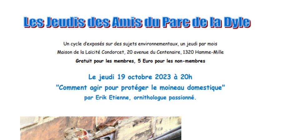 image - Comment agir pour protéger le moineau domestique