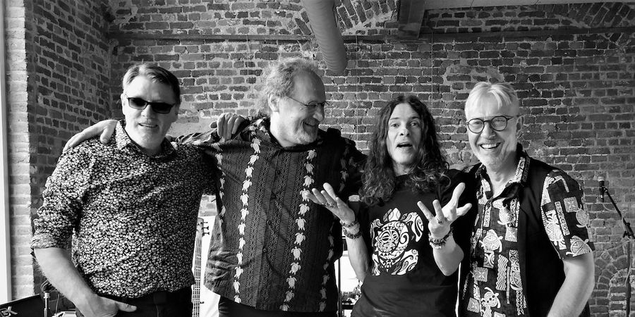 image - The Blue’s Turtles (B) blues-rock