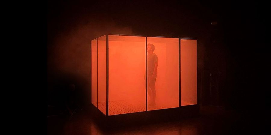 image - L’Œil du cerf