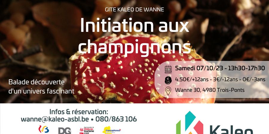 image - Initiation aux champignons