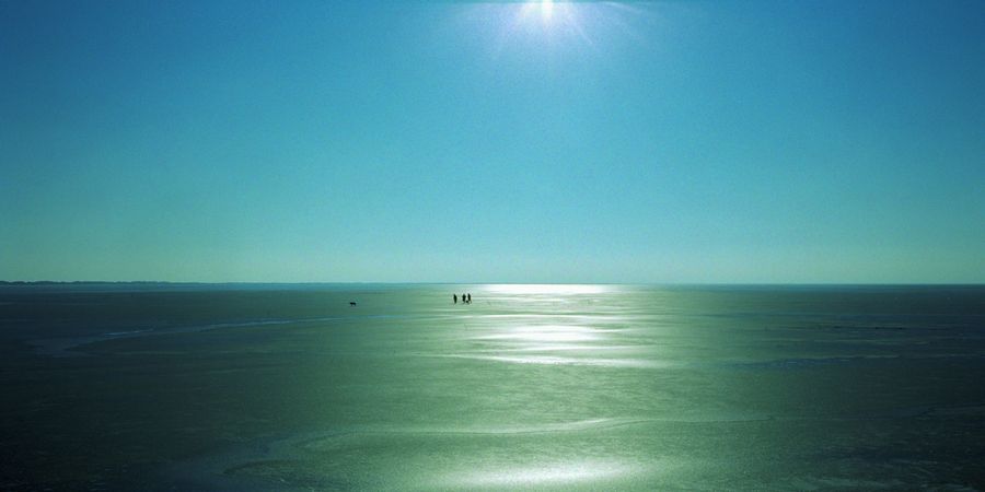 image - Saodat Ismailova Aral, Fishing in an Invisible Sea - The Haunted