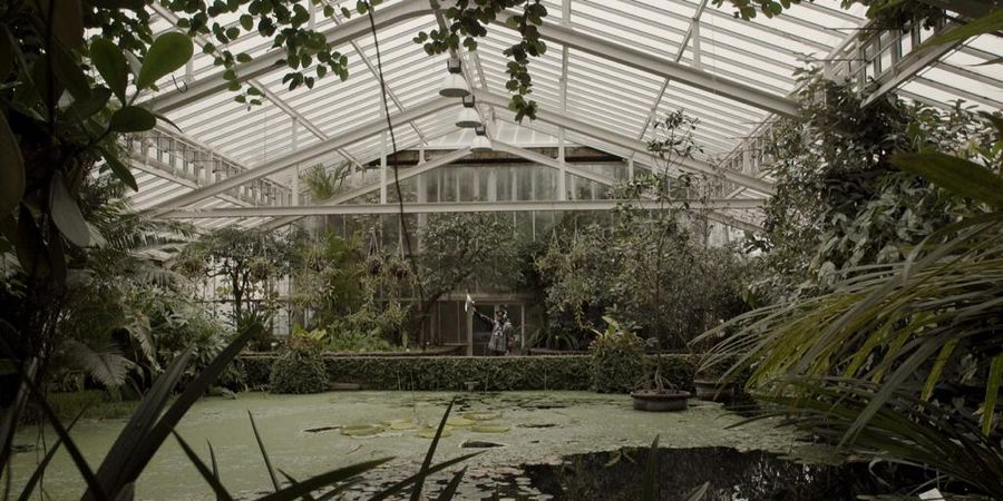 image - Adler Murada Meanwhile, behind the curtains… Love, memories, data, and archives