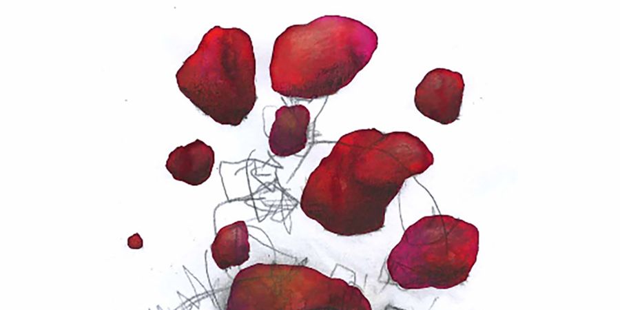 image - Parasismique