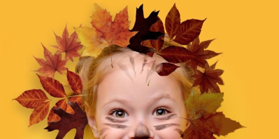 image - Les stages d'automne au Préhistomuseum