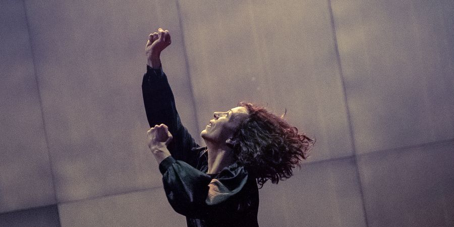 image - Penelope - Voetwolk/​Lisbeth Gruwez & Maarten Van Cauwenberghe