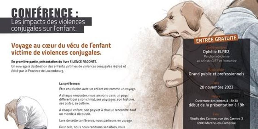 image - Conférence : Les impacts des violences conjugales sur l'enfant