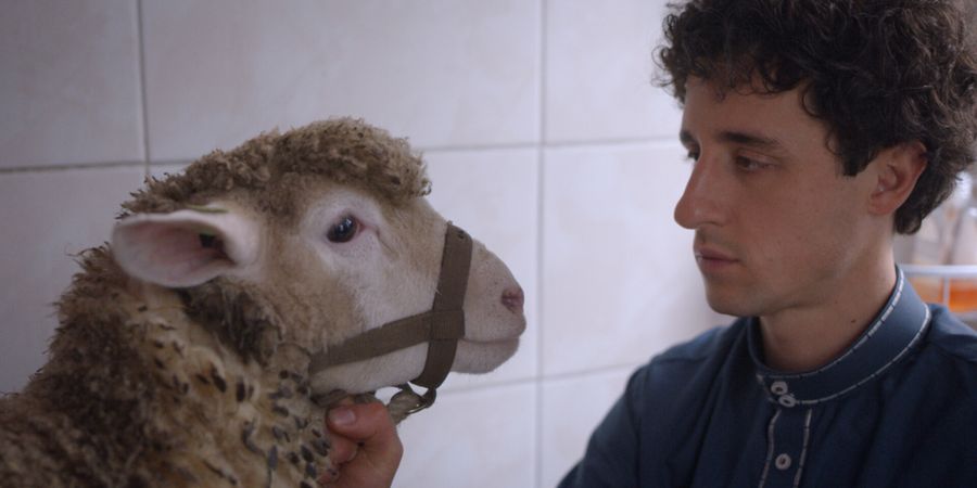 image - Habib, la grande aventure