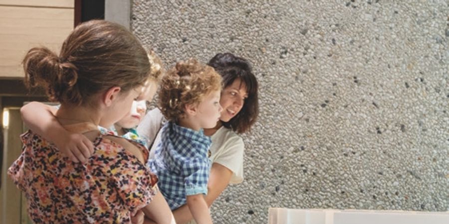 image - Visite guidée en famille de l'exposition temporaire 