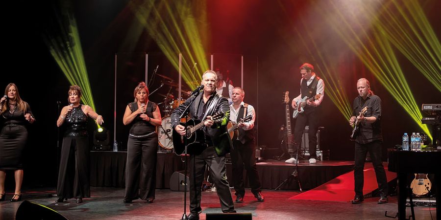 image - The Neil Diamond Project