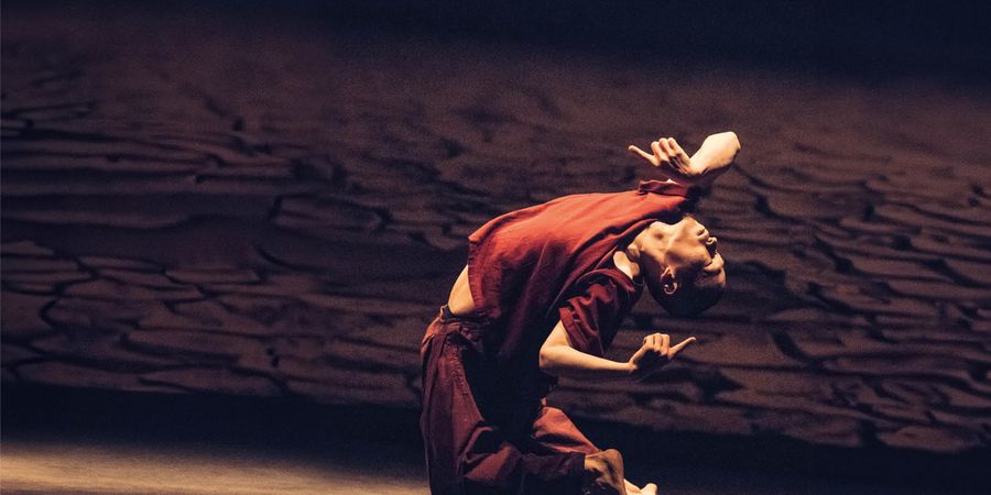image - Sidi Larbi Cherkaoui