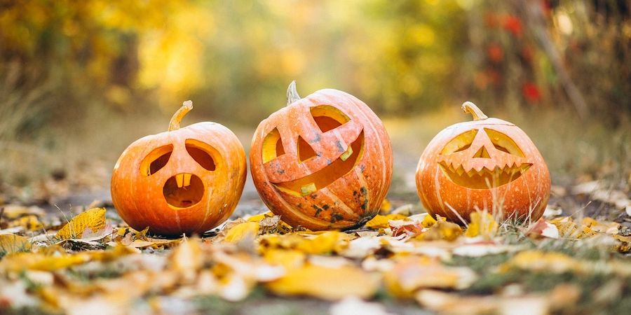 image - Halloween bingo