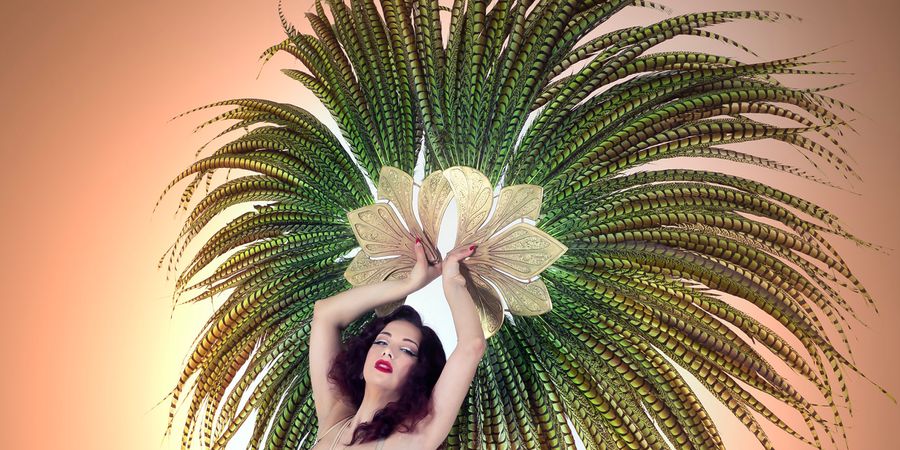 image - Foxy Follies