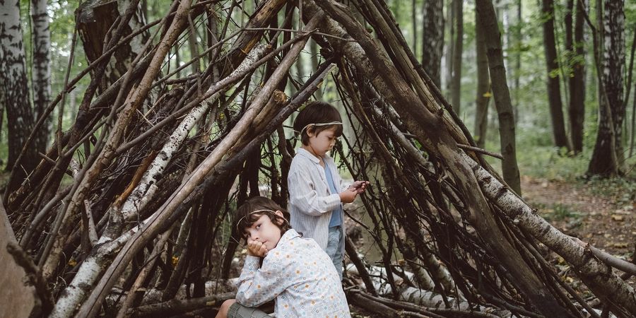 image - Stages Juillet