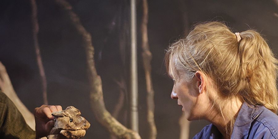 image - Alberta Tonnerre 