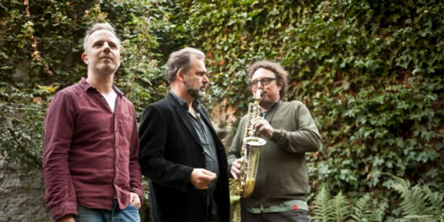 image - Frank Vaganée Trio