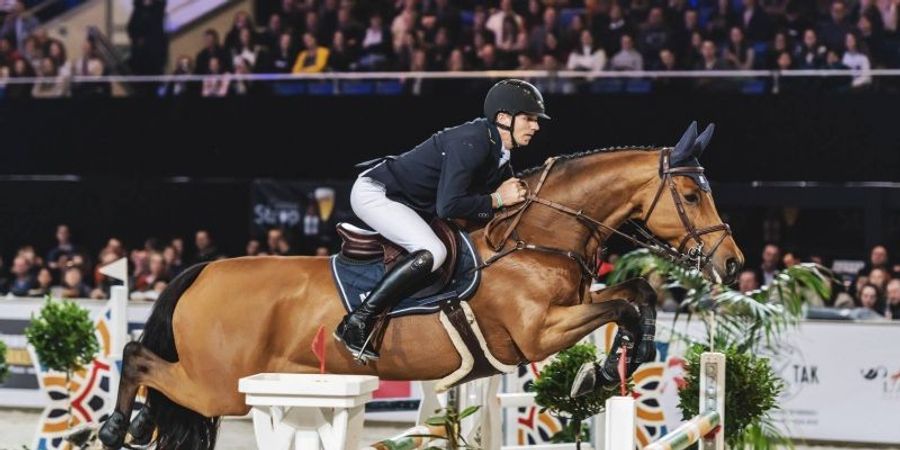 image - Flanders Horse Expo 2024