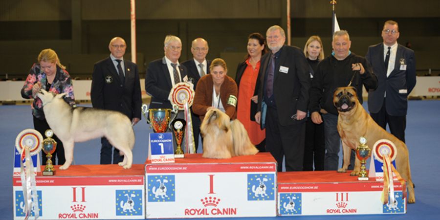 image - EURODOGSHOW