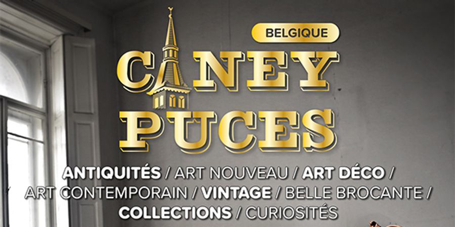 image - CINEY PUCES & ANTIQUITÉS