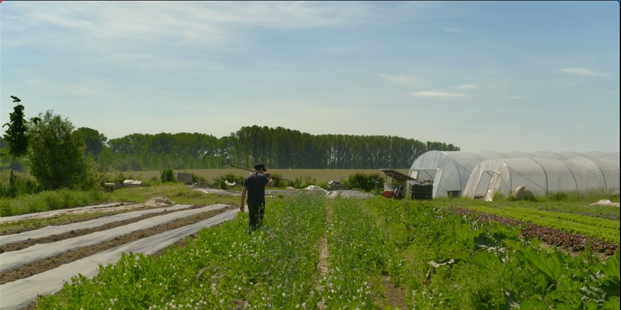 image - A travers champs : ZUT (Documentaire)