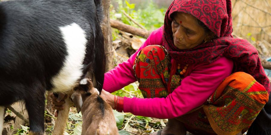 image - A travers champs : Soirée 