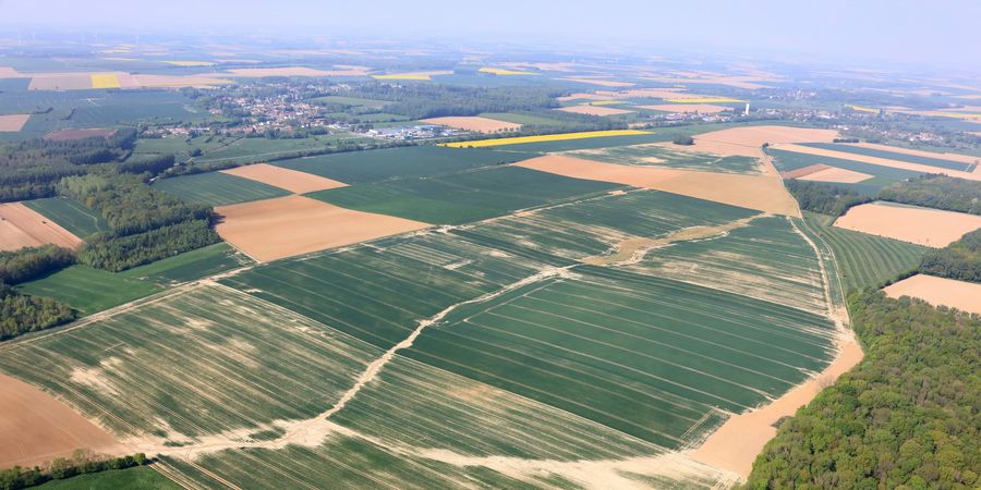 image - A travers champs : Paysans du Ciel à la Terre (documentaire)