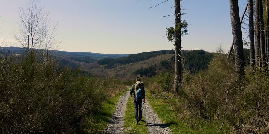 image - A travers champs : Les oiseaux de passage (documentaire)